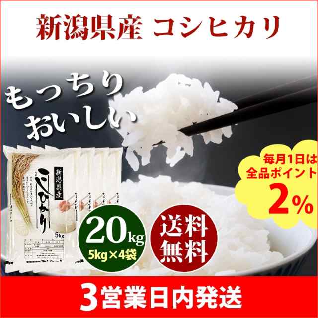 米 20kg 新潟県産 コシヒカリ 5kg×4袋 令和5年産 お米 20kg 送料無料 北海道・沖縄配送不可 クーポン対象 20キロ 安い  母の日｜au PAY マーケット