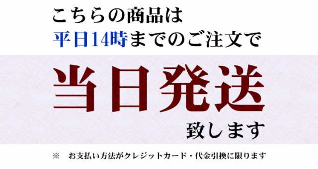 米 お米 即日出荷 無洗米 5kg 送料別 コシヒカリ 愛知県産 令和2年産 5キロ 即日発送 安い クーポン対象 北海道 沖縄配送不可の通販はau Pay マーケット あだちねっと美米屋