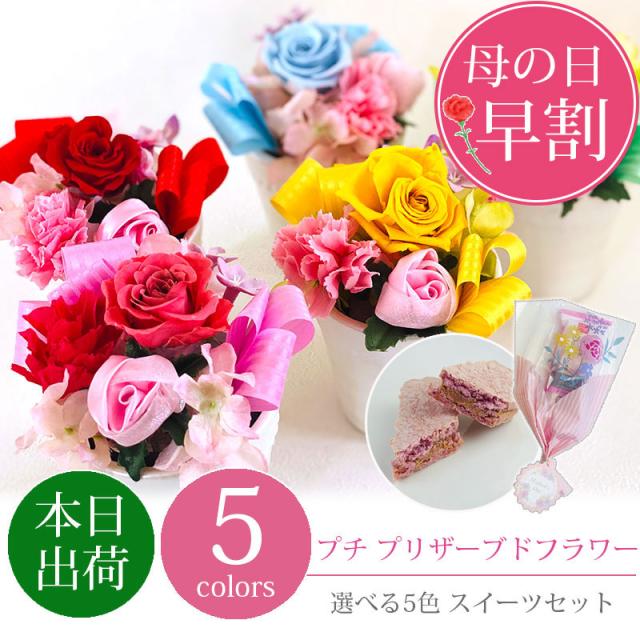 バインド ラフ睡眠 ドーム スイーツ 花 ギフト 記念品 大学生 フォーラム