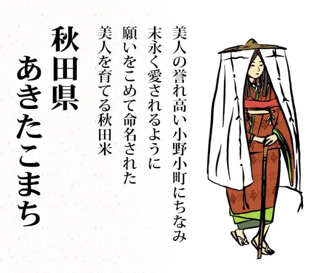 米 20kg 秋田県産 あきたこまち 5kg×4袋 令和7年産 一等米 お米 20kg 送料無料 北海道・沖縄は追加送料 20キロ_1