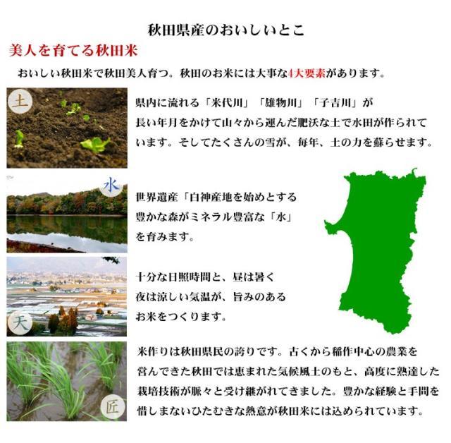 米 20kg 秋田県産 あきたこまち 5kg×4袋 令和7年産 一等米 お米 20kg 送料無料 北海道・沖縄は追加送料 20キロ_5