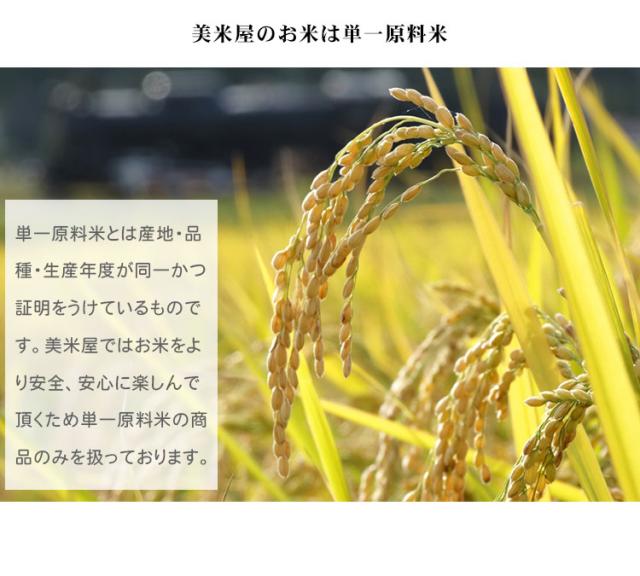 米 20kg 秋田県産 あきたこまち 5kg×4袋 令和7年産 一等米 お米 20kg 送料無料 北海道・沖縄は追加送料 20キロ_8
