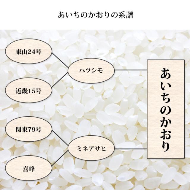 あいちのかおり玄米 令和7年度産15キロ 玄米 あいちのかおり」の人気