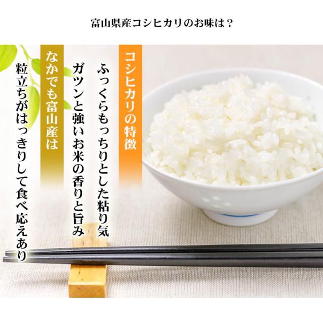 米 無洗米 10kg 富山県産 コシヒカリ 5kg×2袋 令和6年産 特A 一