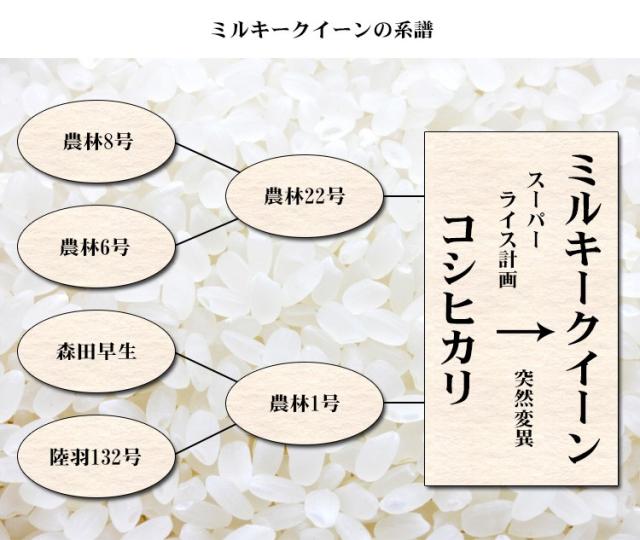 米 無洗米 20kg 福島県産 ミルキークイーン 5kg×4袋 令和7年産 一等米 お米 20kg 送料無料 北海道・沖縄は追加送料 20キロ_6