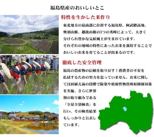 米 無洗米 20kg 福島県産 ミルキークイーン 5kg×4袋 令和7年産 一等米 お米 20kg 送料無料 北海道・沖縄は追加送料 20キロ_7