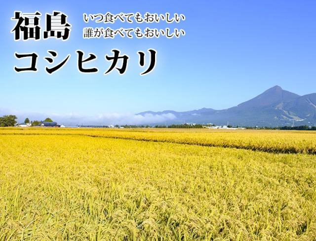 米 20kg 福島県産 コシヒカリ 5kg×4袋 令和7年産 一等米 お米 20kg 送料無料 北海道・沖縄は追加送料 20キロ_1