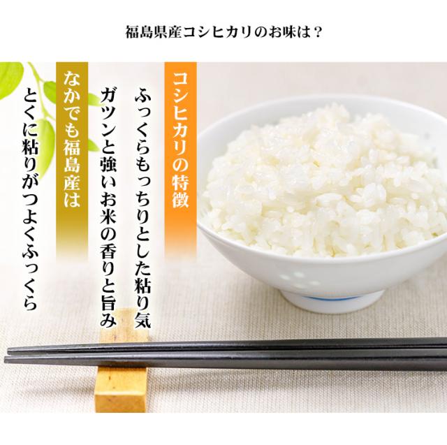 米 20kg 福島県産 コシヒカリ 5kg×4袋 令和7年産 一等米 お米 20kg 送料無料 北海道・沖縄は追加送料 20キロ_4