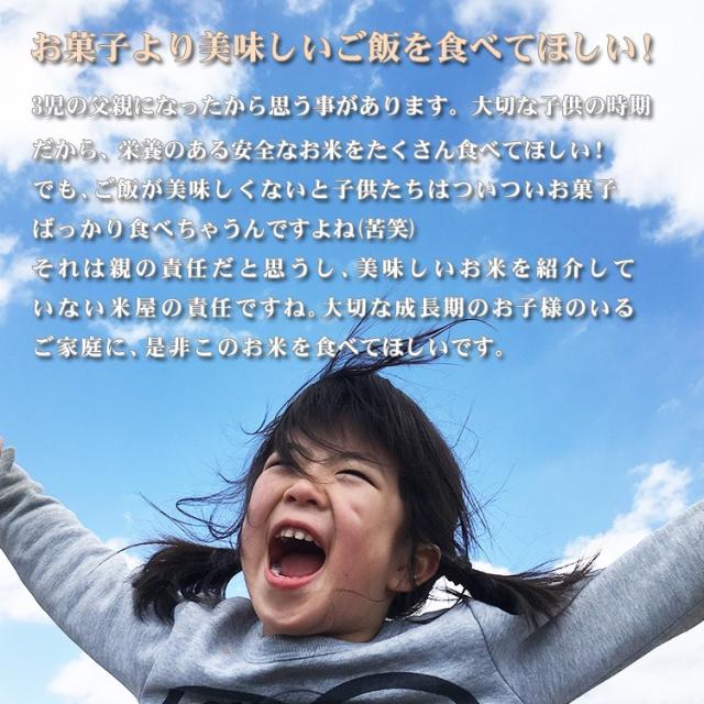 米 20kg 福島県産 コシヒカリ 5kg×4袋 令和7年産 一等米 お米 20kg 送料無料 北海道・沖縄は追加送料 20キロ_8