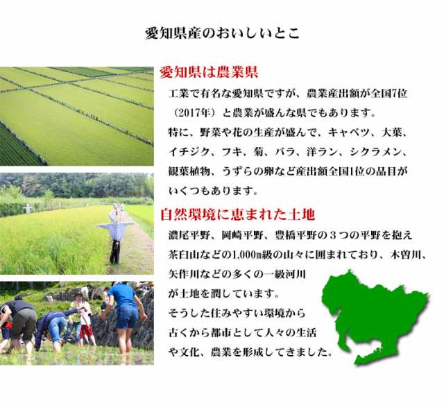 米 10kg 愛知県産 コシヒカリ 5kg 2袋 令和2年 お米 10kg 送料無料 北海道 沖縄配送不可 即日発送 クーポン対象 10キロ 安いの通販はau Pay マーケット あだちねっと美米屋