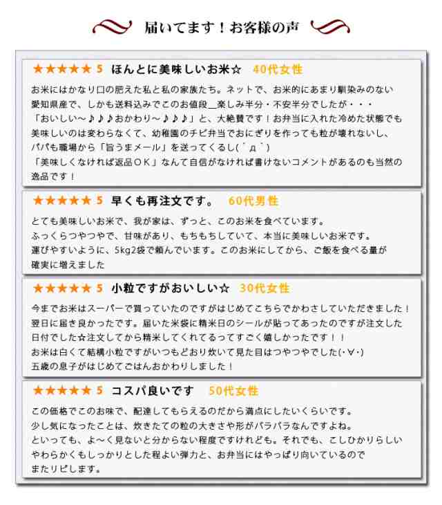 新米 米 10kg 愛知県産 コシヒカリ 5kg×2袋 令和4年産 お米 10kg 送料無料 北海道・沖縄配送不可 即日発送 クーポン対象 10キロ  安いの通販はau PAY マーケット - あだちねっと美米屋