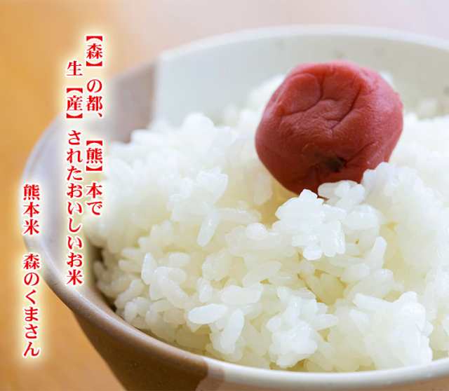 米 10kg 熊本県産 森のくまさん 5kg×2袋 令和3年産 お米 10kg 送料無料 北海道・沖縄配送不可 即日発送 クーポン対象 10キロ  安いの通販はau PAY マーケット - あだちねっと美米屋
