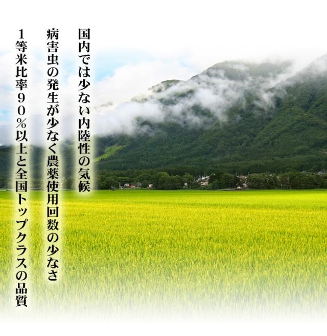 米 無洗米 20kg 長野県産 ミルキークイーン  5kg×4袋 令和7年産 一等米 お米 20kg 送料無料 北海道・沖縄は追加送料 20キロ_3