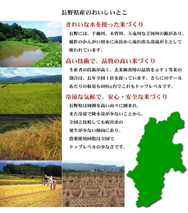 米 無洗米 20kg 長野県産 ミルキークイーン  5kg×4袋 令和7年産 一等米 お米 20kg 送料無料 北海道・沖縄は追加送料 20キロ_8