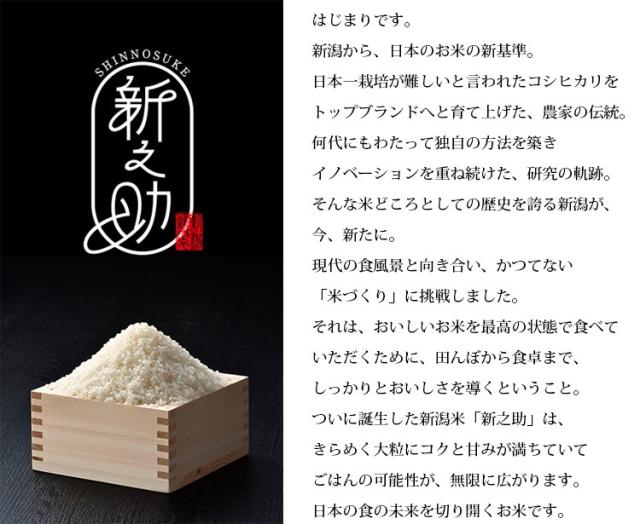 米 10kg 新潟県産 新之助 しんのすけ 5kg×2袋 令和6年産 一 米 10kg 新潟県産 新之助 しんのすけ 5kg×2袋 令和6年産 一