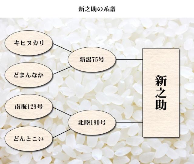 新之助 5キロ×２袋・はえぬき10キロ×1袋　20キロセット 新之助 5キロ×2袋・はえぬき10キロ×1袋 20キロセット