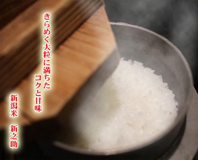 米 無洗米 10kg 新潟県産 新之助 しんのすけ 5kg×2袋 令和7年産 一等米 お米 10kg 送料無料 北海道・沖縄は追加送料 営業日14時まで即日発送あり 10キロ_14