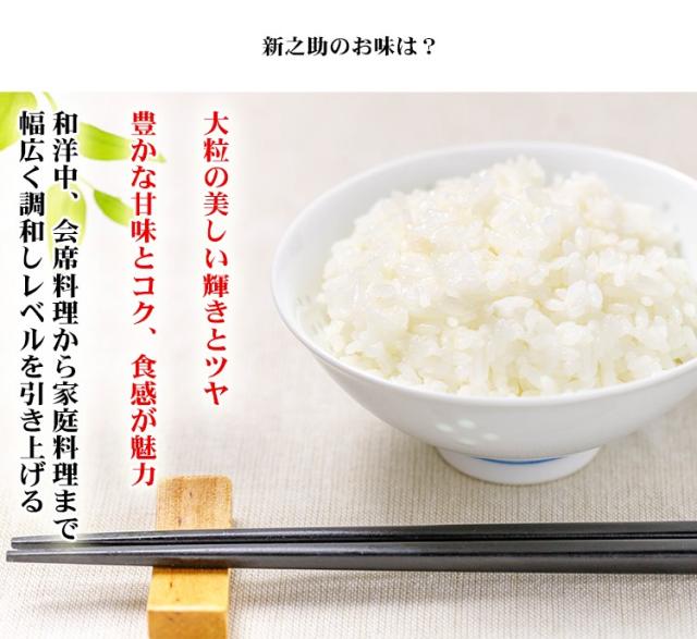 米 無洗米 10kg 新潟県産 新之助 しんのすけ 5kg×2袋 令和7年産 一等米 お米 10kg 送料無料 北海道・沖縄は追加送料 営業日14時まで即日発送あり 10キロ_6