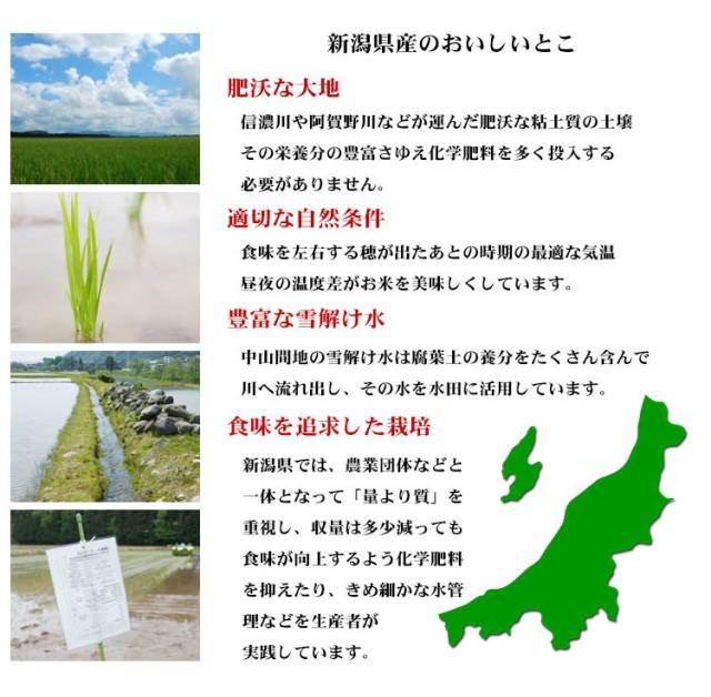 米 無洗米 10kg 新潟県産 新之助 しんのすけ 5kg×2袋 令和7年産 一等米 お米 10kg 送料無料 北海道・沖縄は追加送料 営業日14時まで即日発送あり 10キロ_8
