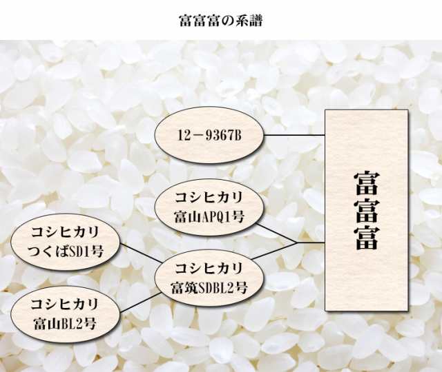 ふるさと納税 富山県 - 富山の新しいお米「富富富(ふふふ)」令和5年産