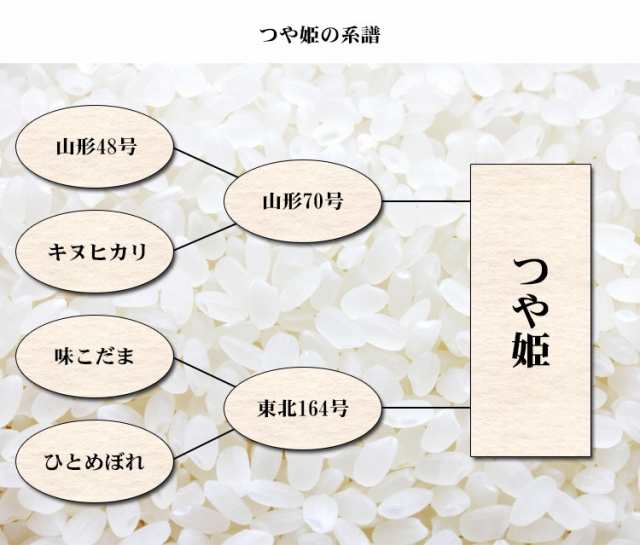 新米 米 無洗米 2kg 山形県産 つや姫 1等米 令和4年産 お米 2kg プレミアム特典 あわせ買い 送料無料 北海道・沖縄配送不可 即日発送  クの通販はau PAY マーケット - あだちねっと美米屋