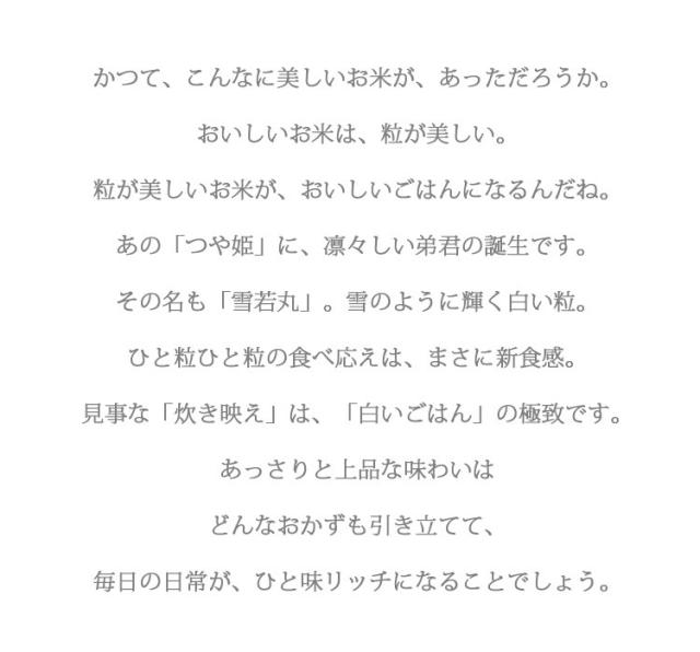 米 10kg 山形県産 雪若丸 ゆきわかまる 5kg×2袋 令和7年産 特A 一等米 お米 10kg 送料無料 北海道・沖縄は追加送料 営業日14時まで即日発送あり 10キロ_2