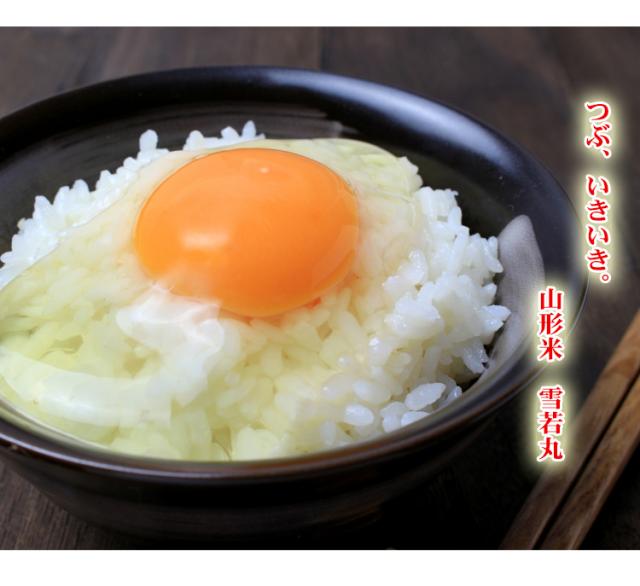 米 10kg 山形県産 雪若丸 ゆきわかまる 5kg×2袋 令和7年産 特A 一等米 お米 10kg 送料無料 北海道・沖縄は追加送料 営業日14時まで即日発送あり 10キロ_12
