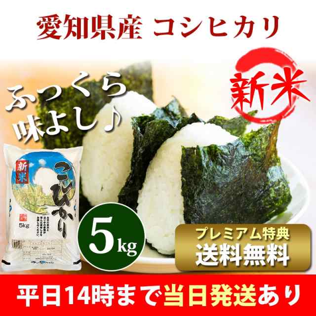 新米 米 5kg 愛知県産 コシヒカリ 令和5年産 お米 5kg プレミアム特典 送料無料 北海道・沖縄配送不可 即日発送 クーポン対象 5キロ  安い｜au PAY マーケット