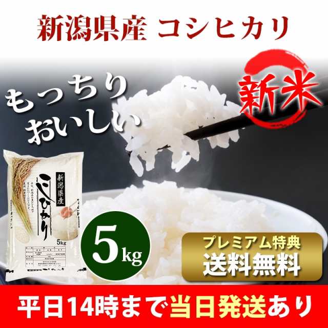 当季大流行 玄米 5kg コシヒカリ 新米 埼玉県産 令和4年産 送料無料 米 5キロ