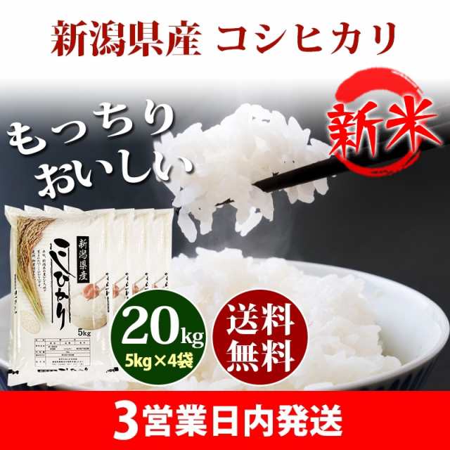 新米 令和５年 米 糸魚川 5kg×4 精米 お米 送料無料 コシヒカリ 白米