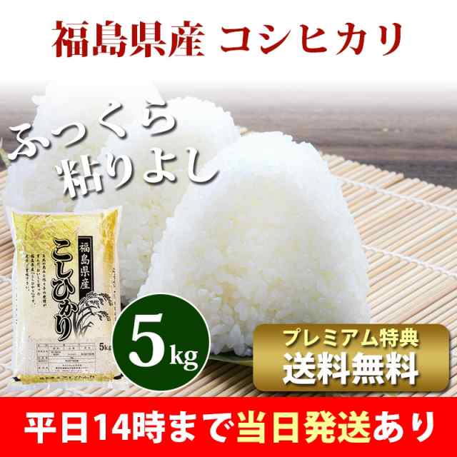 E玄米／精米／安心安全／お米／コシヒカリ／安い／５キロ - 米・雑穀・粉類