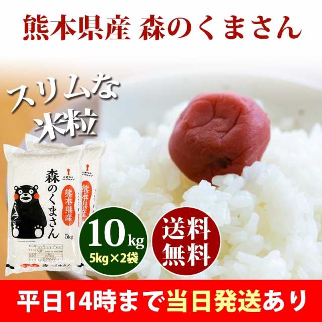 セール 登場から人気沸騰 お米 米 10kg 玄米 送料無料 熊本県産 森のくまさん 令和3年産 あすつく 5kg2個 くまもとのお米 富田商店 と みた商店 materialworldblog.com