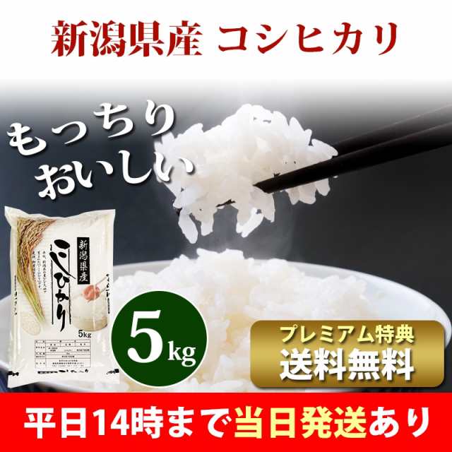 新潟県産 コシヒカリ（ 令和5年産 ） 10kg （5kg×2袋）