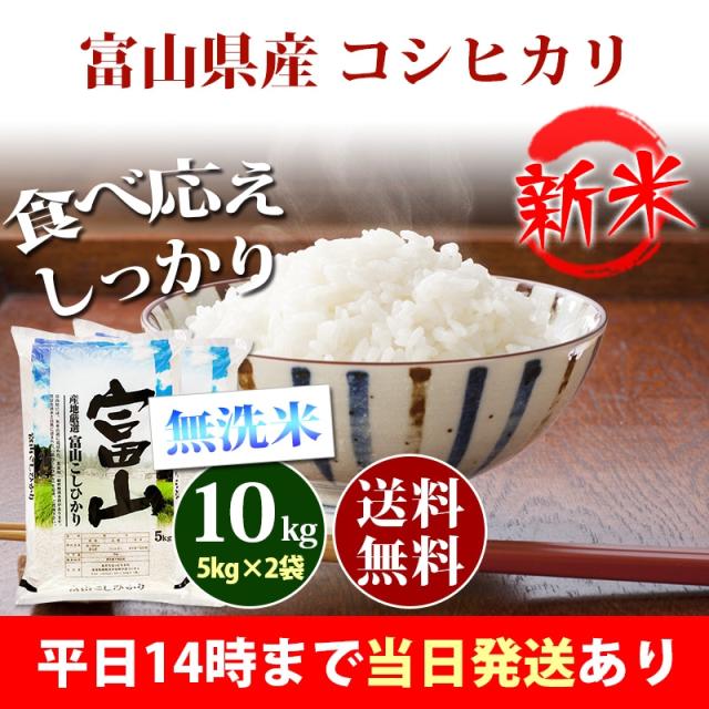 富山県産 無洗米 こしひかり 10kg 無洗米 富山県産コシヒカリ 10kg(5kg×2袋) 令和7年産 ヤマトライス 本店