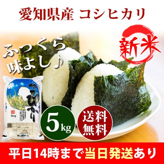新米 米 5kg 愛知県産 コシヒカリ 令和7年産 お米 5kg 送料無料