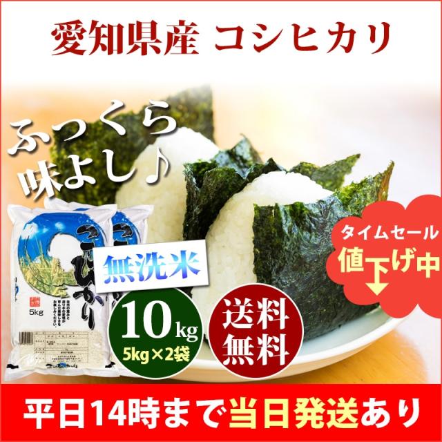 米 無洗米 10kg 愛知県産 コシヒカリ 5kg×2袋 令和7年産 お米 10kg 送料無料 北海道・沖縄は追加送料 営業日14時まで即日発送あり 10キロ