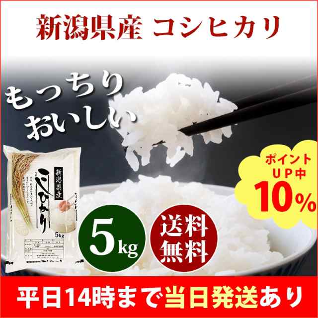米 5kg 新潟県産 コシヒカリ 1等米 令和4年産 お米 5kg プレミアム特典 送料無料 北海道・沖縄配送不可 即日発送 クーポン対象 5キロ  安の通販はau PAY マーケット あだちねっと美米屋 au PAY マーケット－通販サイト