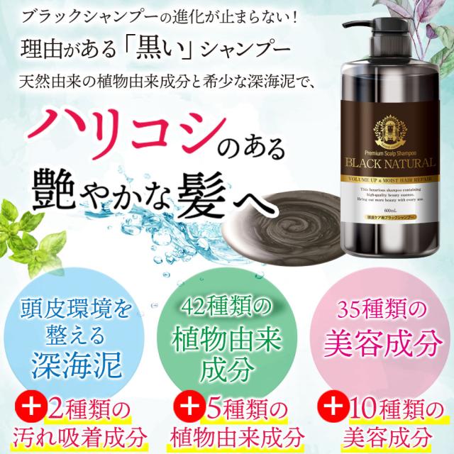 ブラック・ナチュラルシャンプー 600mL 2本 セット ブラックケア