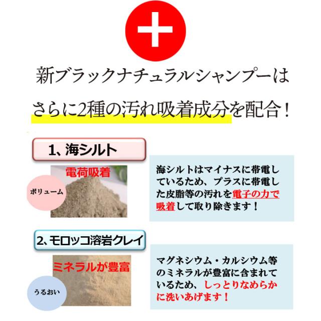 ブラック・ナチュラルシャンプー 600mL 2本 セット ブラックケア