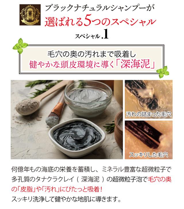 ブラック・ナチュラルシャンプー 600mL 6本 セット ブラックケア