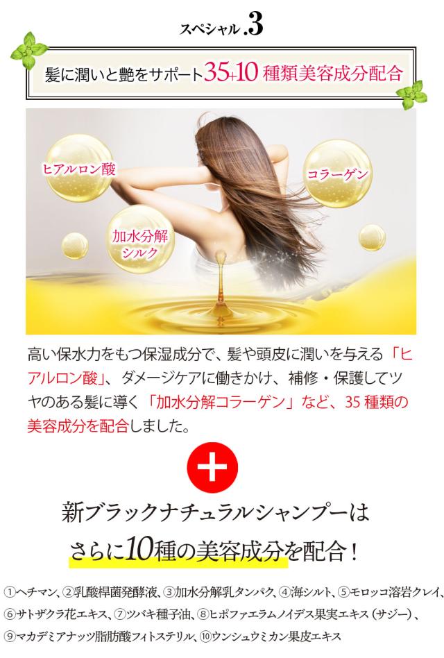 ブラック・ナチュラルシャンプー 600mL 2本 セット ブラックケア