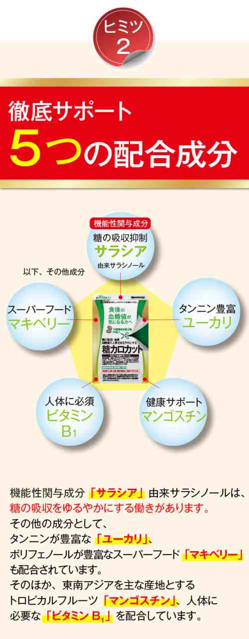 市場 第2類医薬品 麻耶堂製薬の糖解錠 糖尿病の漢方薬 本日