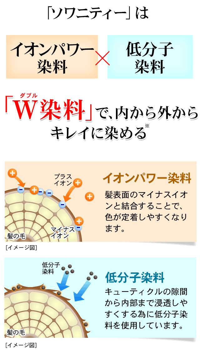 ソワニティーヘアカラートリートメント １本 ソワカラ ソワカラ― 白髪染めトリートメント 白髪ケア ソワニティの通販はau PAY マーケット -  ナチュラルガーデン