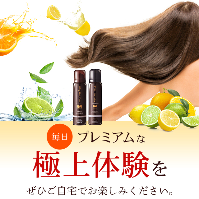 白髪染め ソワニティー ホイップへアカラー 80g 2本セット 泡カラー