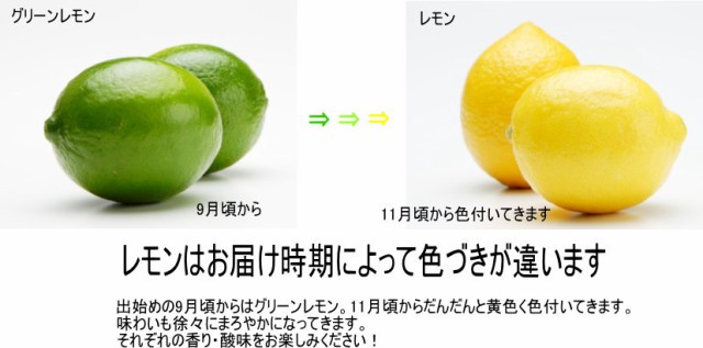 国産 和歌山産 グリーンレモン レモン 訳あり 1kg 防腐剤不使用 ノーワックス の通販はau Pay マーケット 紀州田舎の小さな八百屋さん