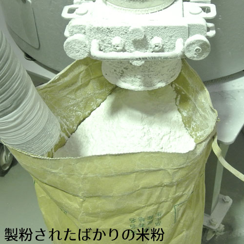 お取り寄せ 大分県産米粉入り からあげ粉 500g 唐揚げ 国産 グルテンフリー ノングルテン ライスアルバの通販はau Pay マーケット コスメボックス