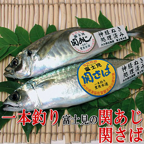 お取り寄せ 関アジ関サバの富士見水産 漬け丼の醤油ダレ 360ml 3 りゅうきゅうのたれ 送料無料 の通販はau Pay マーケット コスメボックス