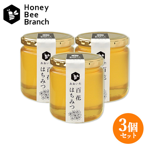 【●お取り寄せ】おおいた百花はちみつ 300g×3 純粋はちみつ おおいたのはちみつ ハニービーブランチ 枝次養蜂園【送料込】