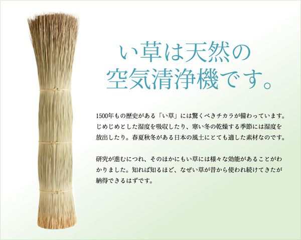 い草ラグ 江戸間2畳 約174×174cm おしゃれの通販は