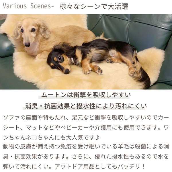 ムートンラグ 4匹サイズ 約90×160cm 天然 ウール100% スプリングラムの通販は